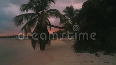 异国海岛。 椰子棕榈树和热带海滩。 加勒比海的暑假。